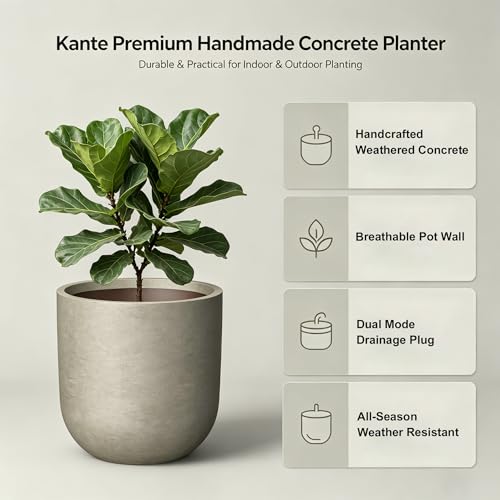 Kante Small Round Capsule Weathered Concrete Planter 11" Dia, Outdoor - color: Weathered Concrete, size: 11.0"Dia x 11.0"H