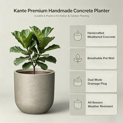 Kante Small Round Capsule Weathered Concrete Planter 11" Dia, Outdoor - color: Weathered Concrete, size: 11.0"Dia x 11.0"H