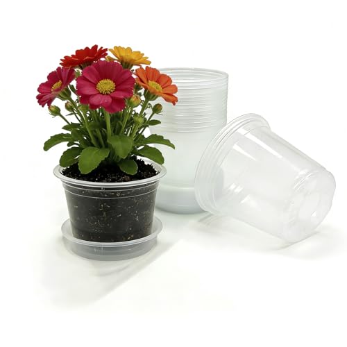 4 Inch Clear Nursery Pots, 20 Pack - color: 4in