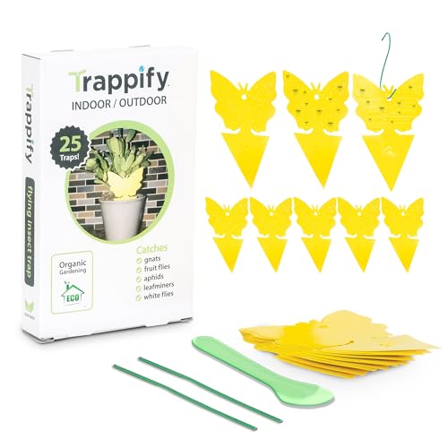 Trappify Gnat Traps for House Indoor and Outdoor | Fruit Fly Trap 25 Pack