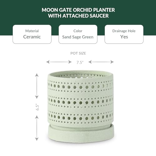 LE Beau Ceramic Moon Gate Orchid Planter with Attached Saucer - Sand (Sand Sage Green, 7.5" D x 6.5" H (Case of 4)) - color: Sand Sage Green, size: 7.5" D x 6.5" H (Case of 4)