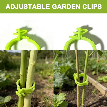 150 Pcs Plant Support Clips, 2026 New Upgraded Adjustable Plastic Clips for Securing Plants, Tomato Vine Clips, Plant Fixing Clips, Garden Clips for Climbing Plants, Grape and Vine Vegetables (Green) - color: Green