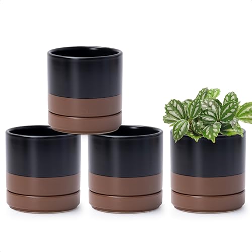 D'vine Dev 4-Pack Ceramic Pots with Saucers, Black/Tan, 4.7 in, 94-X-B-7 - color: Black/Speckled Tan, size: 4.7 Inch