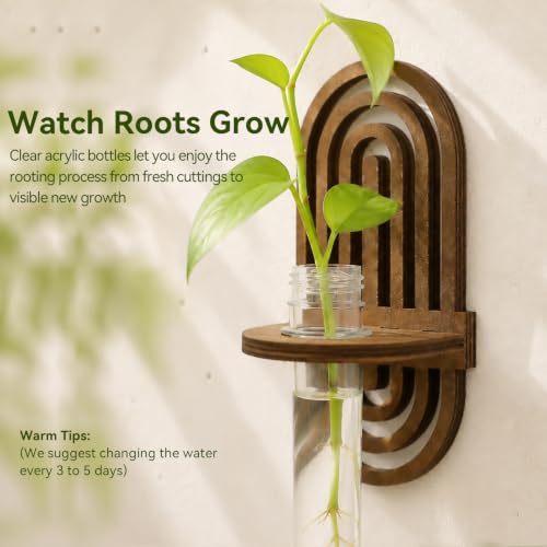 Artilady Plant Propagation Station Wall Hanging, Wood Arch Terrariums Tube - color: Oval 2