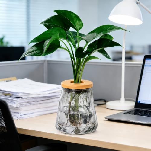 Desktop Plant Hydroponic Vases, Water Plant Jars, Gardening Gifts for Office and Home, Outdoor, Gray Glacier Pattern - color: Gray Glacier Pattern
