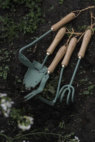 Barebones Triangle Hoe - Stainless Steel Blade Japanese Gardening Tools for Weeding Long Handle and Hand Hoe (Ash/Mint) - color: Ash/Mint, size: Triangle Hoe