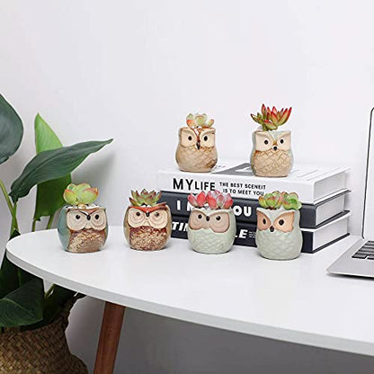 T4U Owl Succulent Pots, Mini Ceramic Gift Pots with Drainage, Retro 6 Pack - color: Owl, size: Pack of 6
