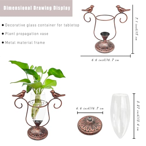 2 Pack Desktop Plant Propagation Terrarium with Metal Stand - color: Bird, size: 7.1"×6.6"