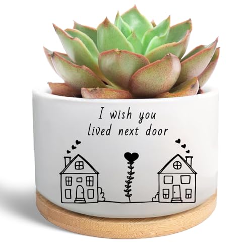 Friend Gifts for Women, Cute Succulent Plant Pot (Plants Not Included) - style: I wish