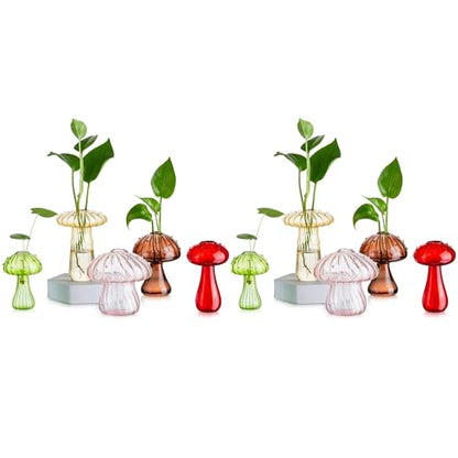 Glasseam Mushroom Plant Propagation Station: 10 Pcs Glass Mini Terrarium - color: Colorful, size: 10