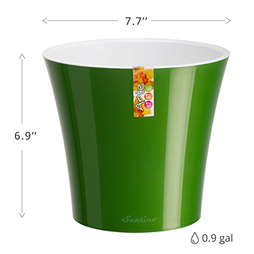 Santino Self Watering Planter Arte 7.7 Inch White/Black Indoor Flower Pot for All House Plants, Flowers, Herbs, Succulents - color: White/Black, size: 7.7-Inch