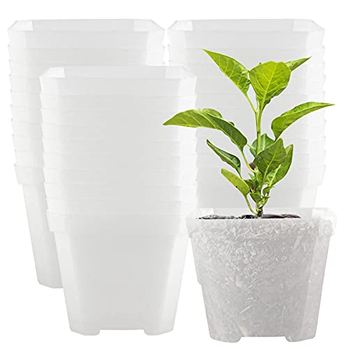 40 PCS 4 Inches Plastic Square Nursery Pot, Transparent Square Plastic Starter Pots with Drainage Hole, Clear Nursery Pots for Your Room, Garden, Office and Balcony Decor - size: 4 Inch 40 PCS