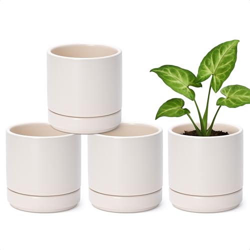 D'vine Dev 4-Pack Ceramic Pots with Saucers, Oatmeal, 4.7 in, 94-X-B-8 - color: Oatmeal, size: 4.7 Inch