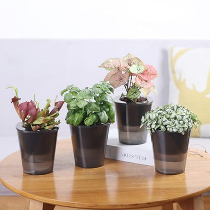 Oliz Self Watering Planter 8 Pcs,4.3 Inch Flower Plant Pot with Inner Pot, Indoor Self Watering Planter Pot for Herbs, Flowers - color: Black