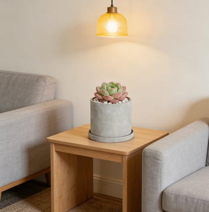 Ekirlin 6 Inch Indoor Plant Pot, Natural Cement Grey Garden Planters, Outdoor Concrete Flower Plant Pots with Drain Hole Saucer Tray, Modern Succulents Containers for Home Decor,Office and Most Plants - size: 5.6 inch