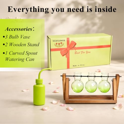 XXXFLOWER Plant Terrarium Kit with Wooden Stand 3 Gradient Green Bulb Vases - color: Green