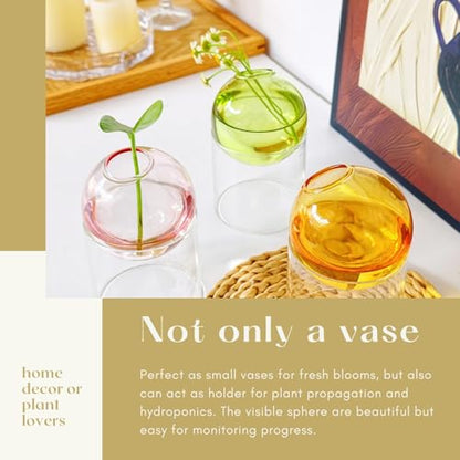 3-Pack Desktop Glass Planter Hydroponics Vase & Plant Propagation Station with Removable Stand | Colorful Glass Vase Set - Green, Pink, Amber - color: Amber + Green + Pink