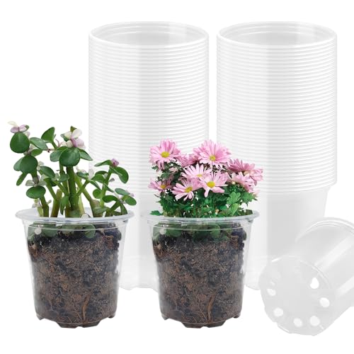 RooTrimmer 4" Clear Seeding Pots 50-Pack Round for Seeds Starting, Seeds Germination Transparent Nursery Pots with Drainage Holes (4Inch,Clear,50Pcs) - size: 4Inch 50P