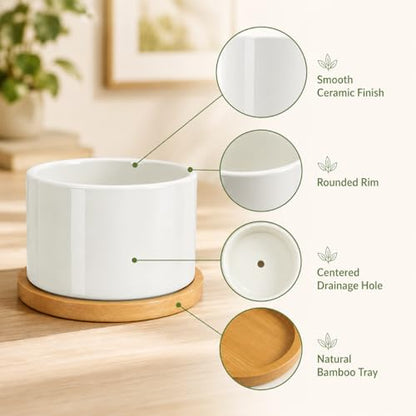 ZOUTOG 6 Pack 3.6" Ceramic Succulent Pots,White Planter with Drainage Tray | Round Flower Plant Pot Ideal for Windowsill, Bedroom and Living Room, Great for Succulents, Cacti & Small Indoor Green Plants