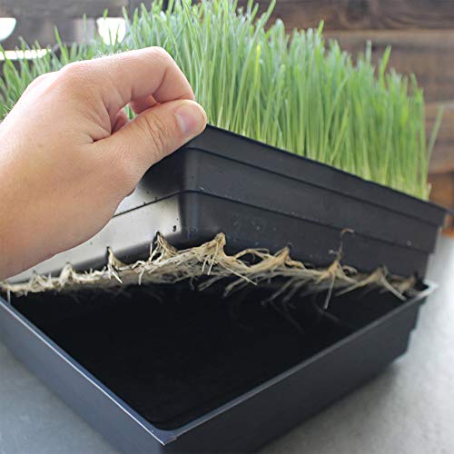Handy Pantry 10-Pack 1020 Garden Growing Trays with Drain Holes - 10" x 20" - size: 10 Pack, style: With Drain Holes