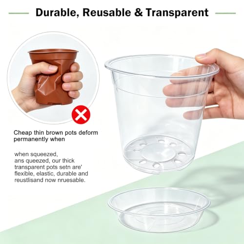THTLTLGT 3.5/4/5/6 Inch Clear Nursery Pots with Drainage for Plants 20 PCS