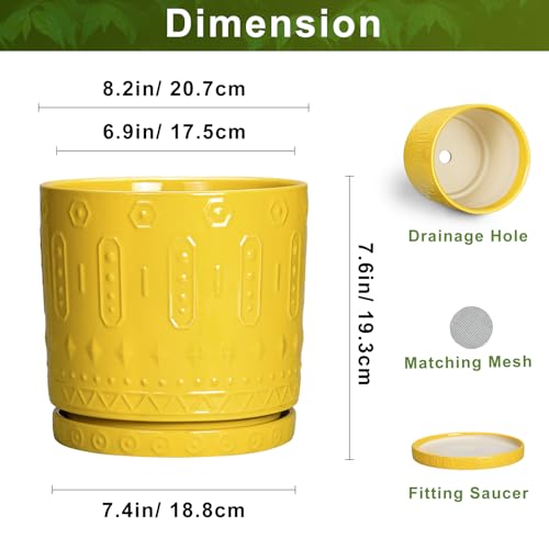 Eightpot 8 Inch Plant Pot, Ceramic Pots for Plants with Drainage Hole and Sacuer, Round Flower Pots for Indoor Outdoor Plants, Modern Decorative Planter, Table Decor, Plant Gifts for Women, Yellow - color: Yellow, size: 8 Inch