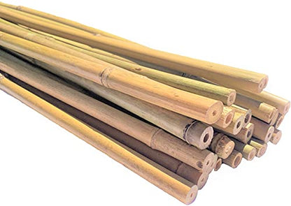 Natural Bamboo Poles, Eco-Friendly Plant Support Garden Stakes 5ft Long, Diameter of 1/2" (25-Count) - size: 5 ft, 1/2" Diameter (25-Count)