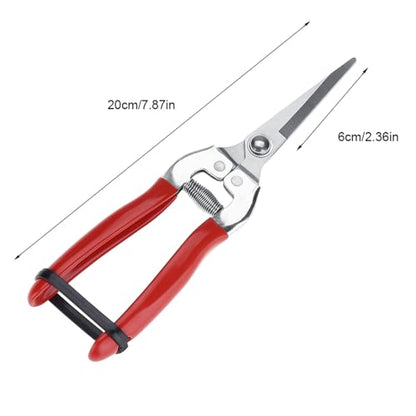 Stainless Steel Straight Pruning Shears for Rose Gardening Plant Trimming and Fruit Harvesting Durable Ergonomic Hand Pruners Garden Yard Tool