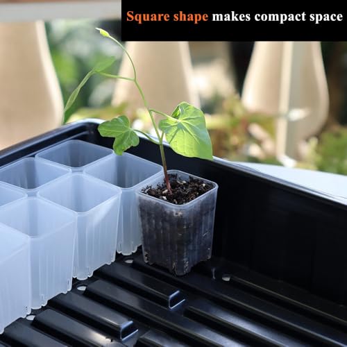 300 Pack 1.55 Inch Tiny Clear Plastic Square Nursery and Seedling Pot, Mini Transplant Seed Starter Planter with Drain Hole for Germination, Herb, Succulent - color: Clear