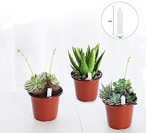 JERIA 100-Pack 4 Inch Plastic Plant Nursery Pots Come with 100 Pcs Plant Labels, Seedling Flower Plant Container and Seed Starting Pots - size: 4 Inch