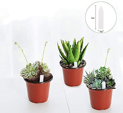 JERIA 100-Pack 4 Inch Plastic Plant Nursery Pots Come with 100 Pcs Plant Labels, Seedling Flower Plant Container and Seed Starting Pots - size: 4 Inch