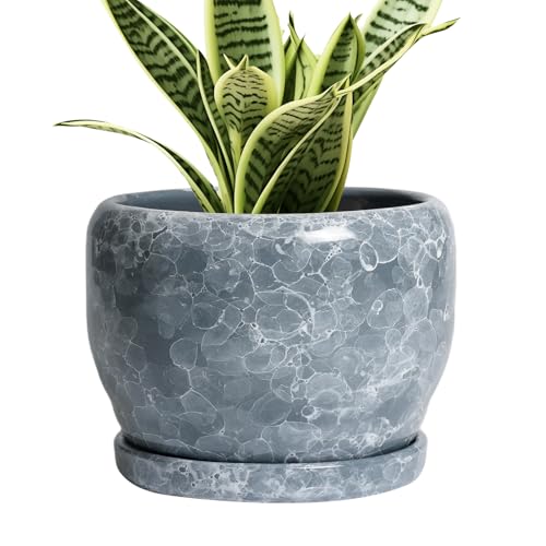 SQOWL 6 Inch Plant pots Indoor - Ceramic Planter with Drainage Hole and Saucer, Ceramic Flower Pot Outdoor, Decorative Round Planter, Home Decor Living Room, Gifts for Plant Lovers, Gray - color: Gray Gemstone, size: 6 Inch