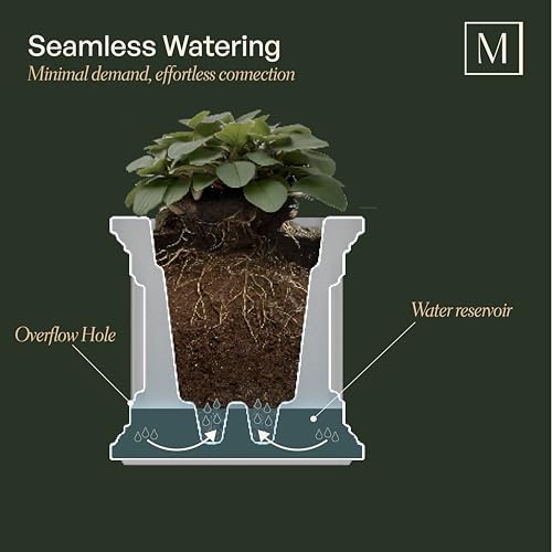 Mayne Cape Cod 14in Self-Watering Square Planter, Black - color: Black, size: 14in