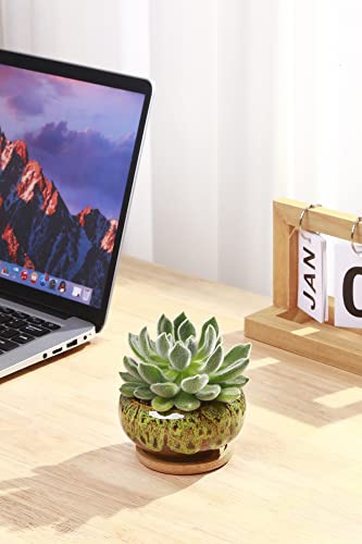 Cute Ceramic Succulent Garden Pots, Planter with Drainage and Attached Saucer, Set of 5 -Plants Not Included (Vivid Colors) - color: Vivid Colors