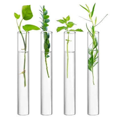 XXXFLOWER Glass Propagation Stations Accessories 4 Tube Vases - size: Size A