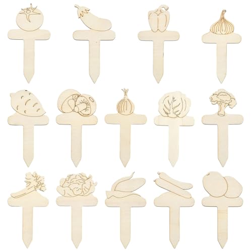 Ipotkitt 50pcs Vegetable Wood Plant Labels Unfinished Wooden Cutouts Garden Markers for Succulent Pot DIY Painting Crafts Herb Vegetable Identification - color: Vegetable Wood Plant Labels_50pcs