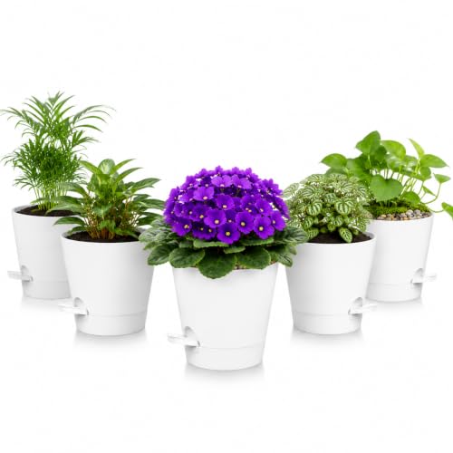 5 Pack 5 Inch African Violet Pots Self Watering, Self-Watering Planters with Drainage Holes & Reservoir, White Plastic Pots for Indoor Outdoor Plants, Succulents & Flowers - color: White, size: 5 inch 5 pcs