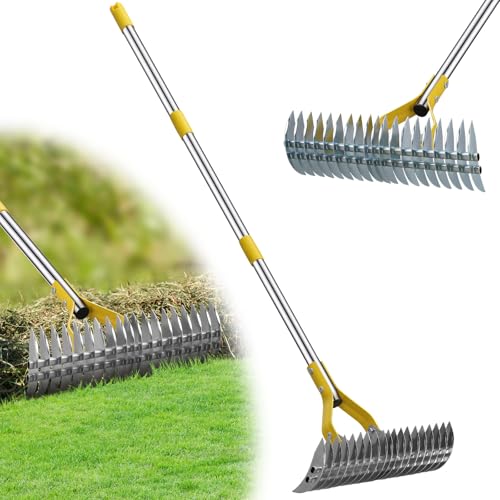 Garden Leaf Rake: Dual Function Thatching Rake for Lawn Dead Grass Leaves, Stainless Steel Heavy Duty 69” Lawn Dethatcher with Sharp 19 Tines, Fast Weeds, Leaf, Thatch, Dead Grass Removal Garden Tool - style: 69"