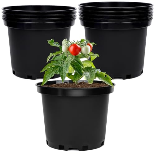 GREANER Plastic Garden Pots, 8 Inch Nursery Pots for Indoor Outdoor Plants, Black Plastic Planters for Planting Seeds, Flower, Succulent(Pack of 10) - size: 8 Inch