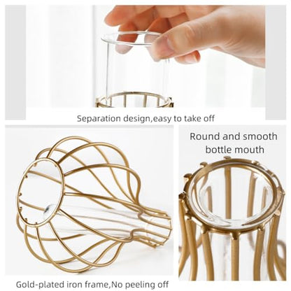 IvyMei Luxurious Nordic Gold Table Flower Vase Metal Frame Glass Tube - color: Gold 10