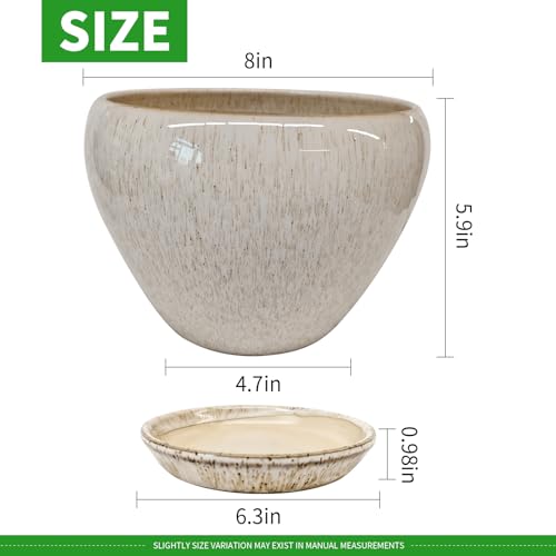 Deep Dream 8 Inch Plant Pots- Ceramic Pots for Plants with Drainage Hole and Saucer, Large Planter Pot for Indoor Plants Outdoor Decor, Beige - color: Beige, size: 8 Inch