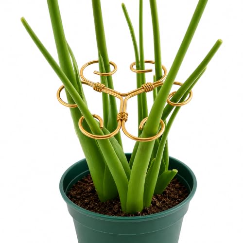 2PCS Monstera Plant Support, 4.1 Inch Metal Plant Stem Support with 6 Rings for Indoor Plants, Plant Stakes and Stem Holders for Monstera and Potted Plants(Golden) - color: Golden
