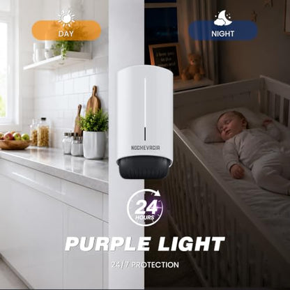 2 Plug-in Flying Insect Traps & 10 Refills, Effective Fly Trap for Indoor Use, Small Bug Catcher with Purple Light for Fruit Flies, Gnats, Moths and Mosquitoes