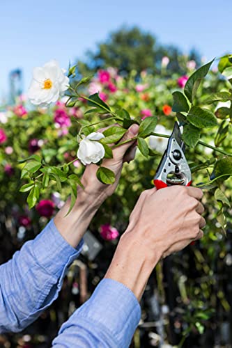 Felco F 14 Pruning Shears – 7.1" Garden Clippers for Small Hands with Bypass & Anvil Blades | Hand Pruners for Gardening | Garden Tool Cutter with Forged Alloy Steel Build, Lightweight Swiss Design - size: F14 Small Ergo