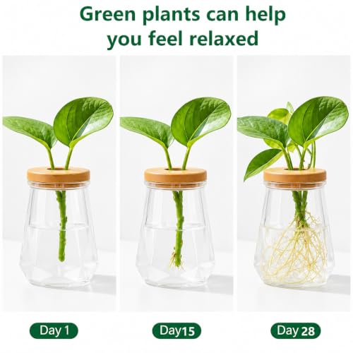 Desktop Plant Hydroponic Vases, Water Plant Jars, Gardening Gifts for Office and Home, Outdoor, Transparent Diamond Pattern - color: Transparent Diamond Pattern