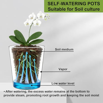 6 inch self Watering Pot with Clear Nursery Pot Inside,Black,6pack - color: Black, size: 6in(6pack)