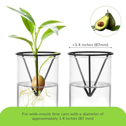 4Pcs Avocado Seed Starter vase Holders That can be Used as Propagation Kits for Plant Propagation vases, not only for Avocados but Also for Other Similar Plants (Carrots, Sweet Potatoes, etc)