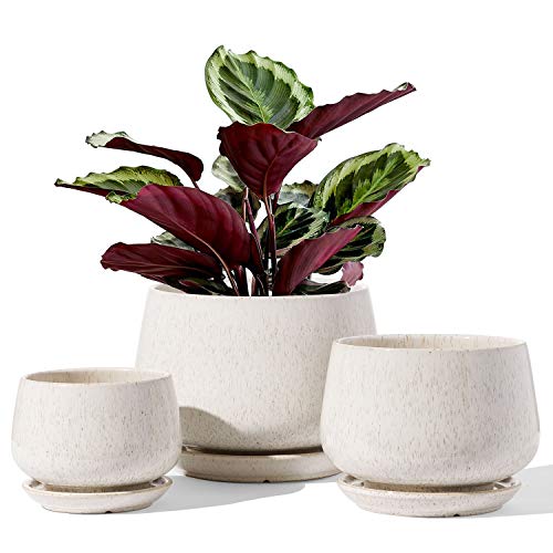 LE TAUCI Plant Pots, 4.1+5.1+6.5 inch, Set of 3, Reactive Glaze Beige - color: Reactive Glaze Beige