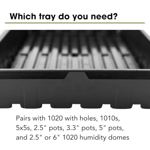 Bootstrap Farmer 1020 Trays (10-Pack), Heavy Duty No-Hole Flats for Microgreens, Fodder & Seedling Propagation - 1.8mm Thick Reusable Plastic - color: Black
