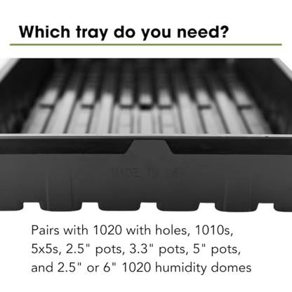 Bootstrap Farmer 1020 Trays (10-Pack), Heavy Duty No-Hole Flats for Microgreens, Fodder & Seedling Propagation - 1.8mm Thick Reusable Plastic - color: Black